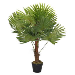 planta decorativa palmera verde