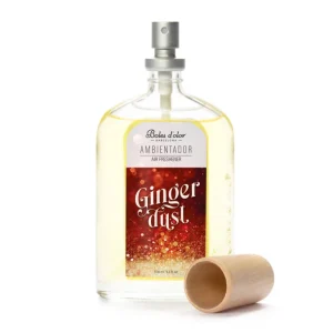 ginger-dust-ambientador-en-spray-100-ml